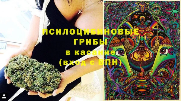 мескалин Баксан