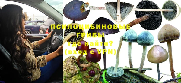 мескалин Баксан