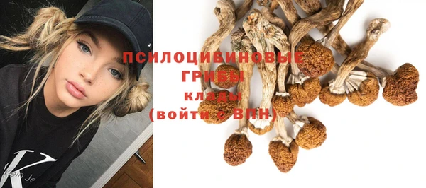 гидропоника Балабаново
